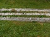 image of grave number 196102